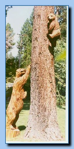 2-31 bear attached to tree, 1 leaning-archive